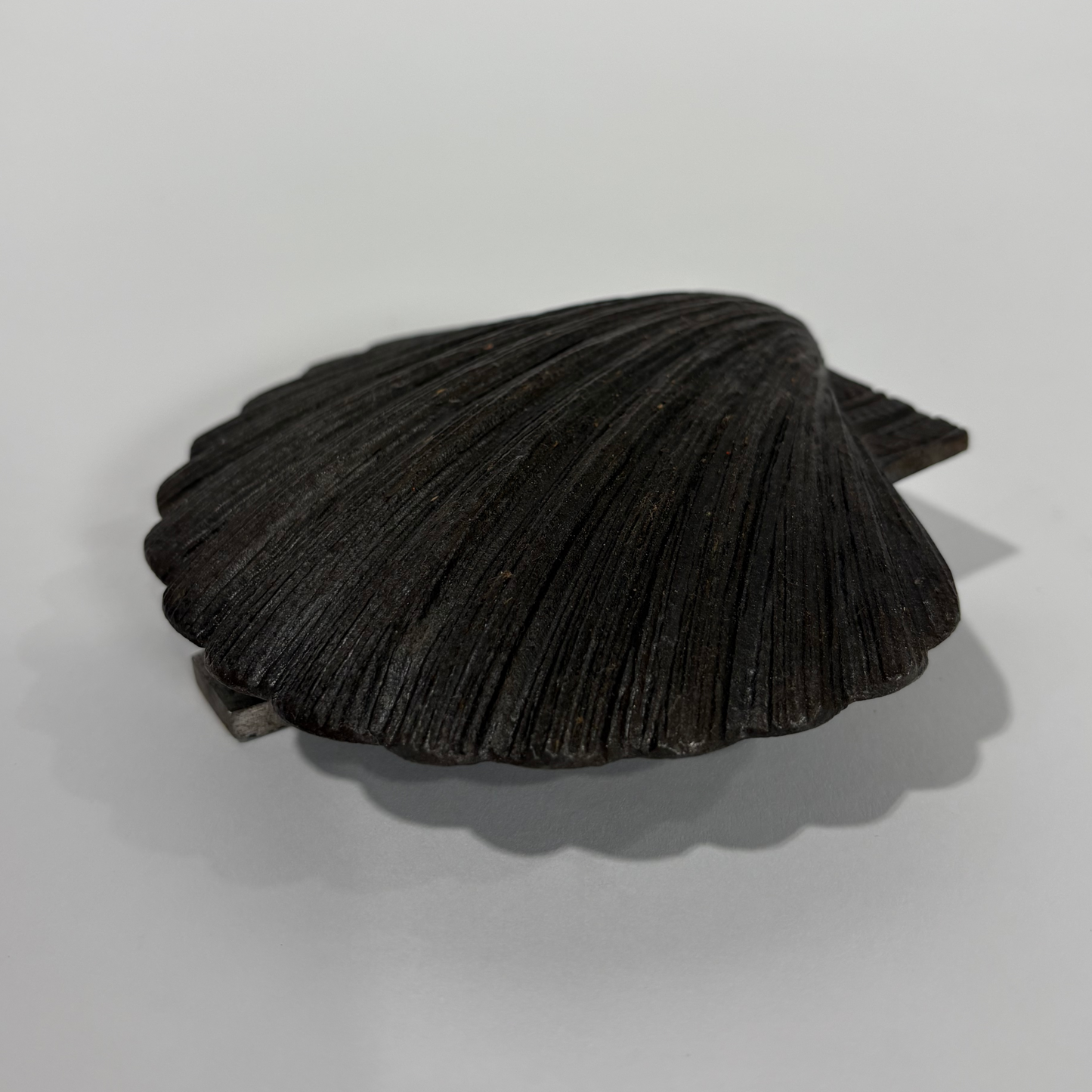 Cast Iron Shell Door Knocker