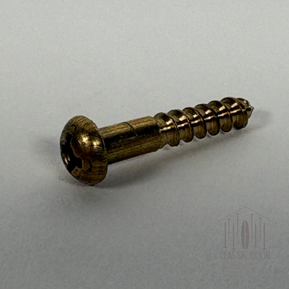 #6 Round Head, Phillips, Solid Brass Wood Screw - 1/2"; Satin Brass — Standard