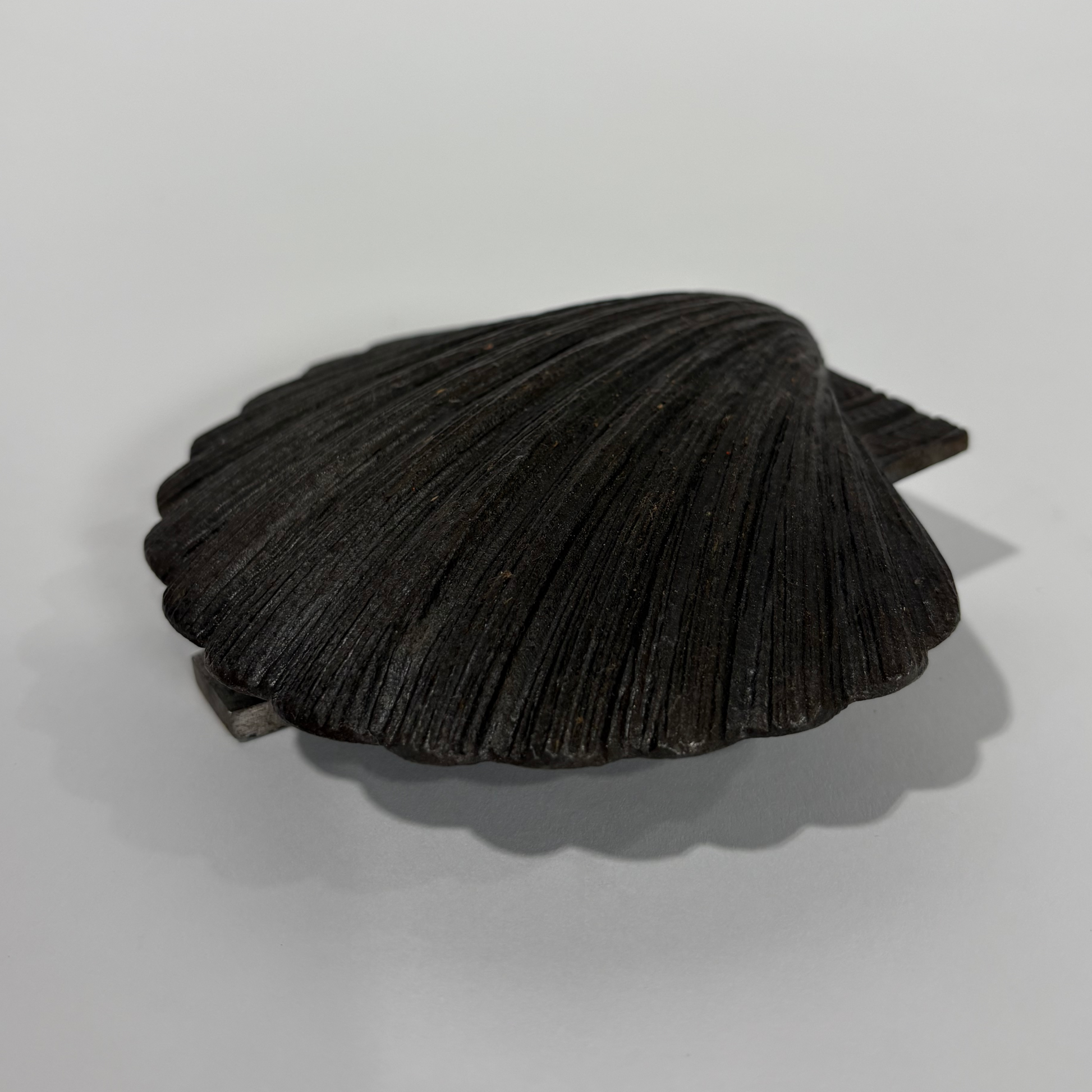 Cast Iron Shell Door Knocker