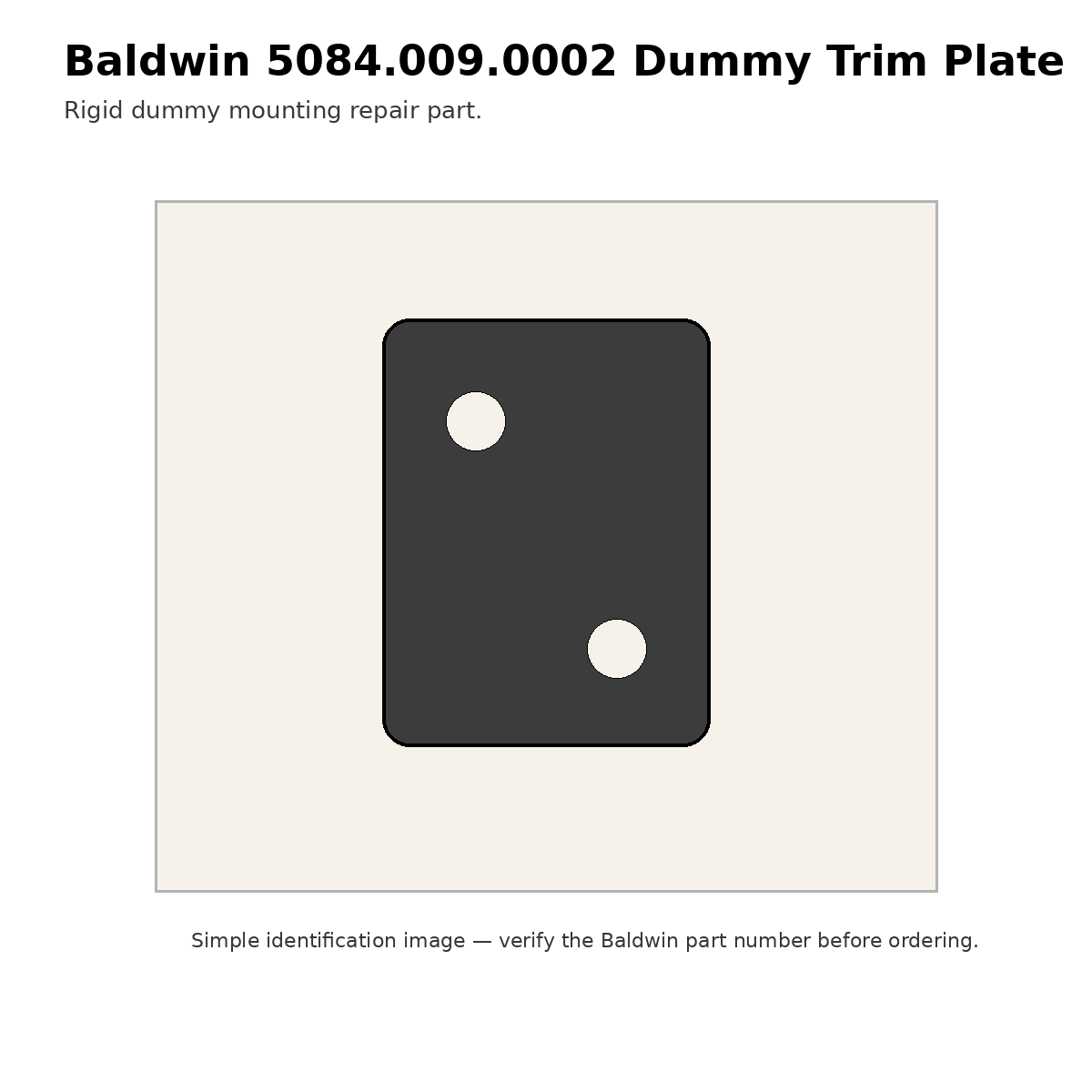 Baldwin 5084.009.0002 dummy trim plate
