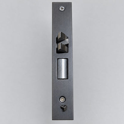 Mortise lock faceplate showing where the replacement screw installs